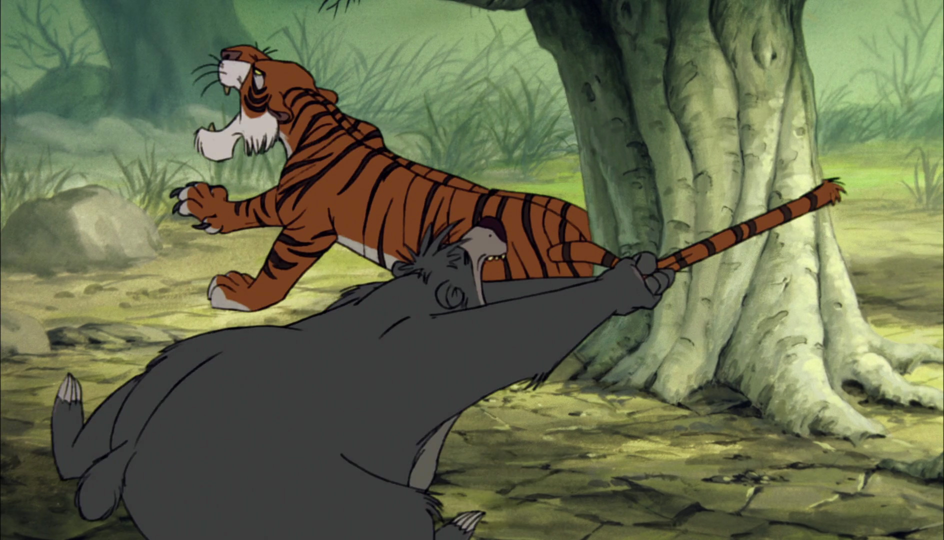 Baloo the Bear and Shere Khan the Tiger got caught by a tree