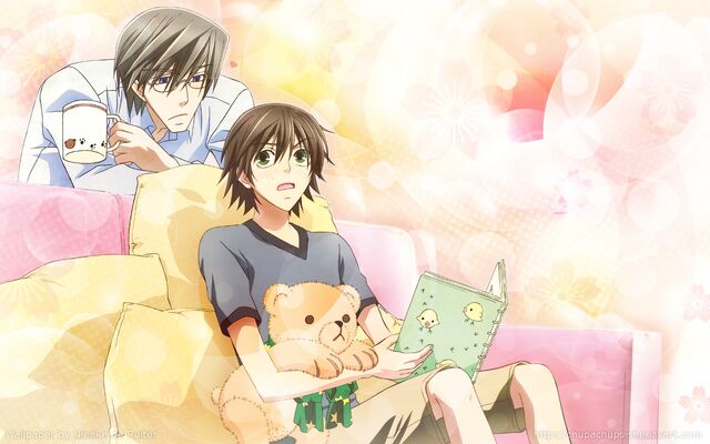 Datei:Minitokyo.Junjou.Romantica.Wallpaper.502990.jpg