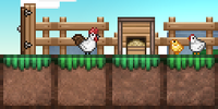 Hen house In Use