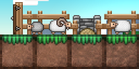 Sheepfold In Use