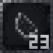 Glass shard