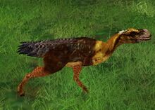 Phorus
