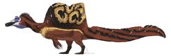 Real Spino