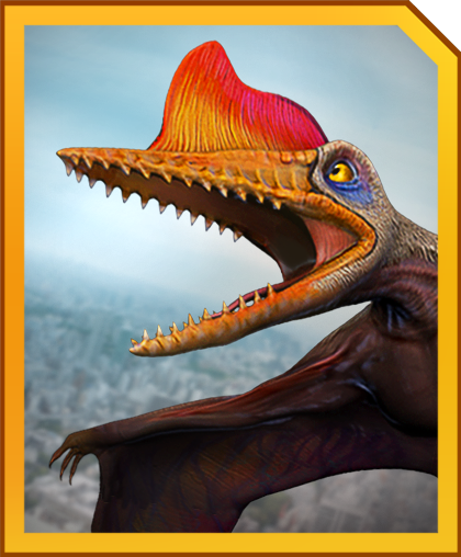 darwinopterus