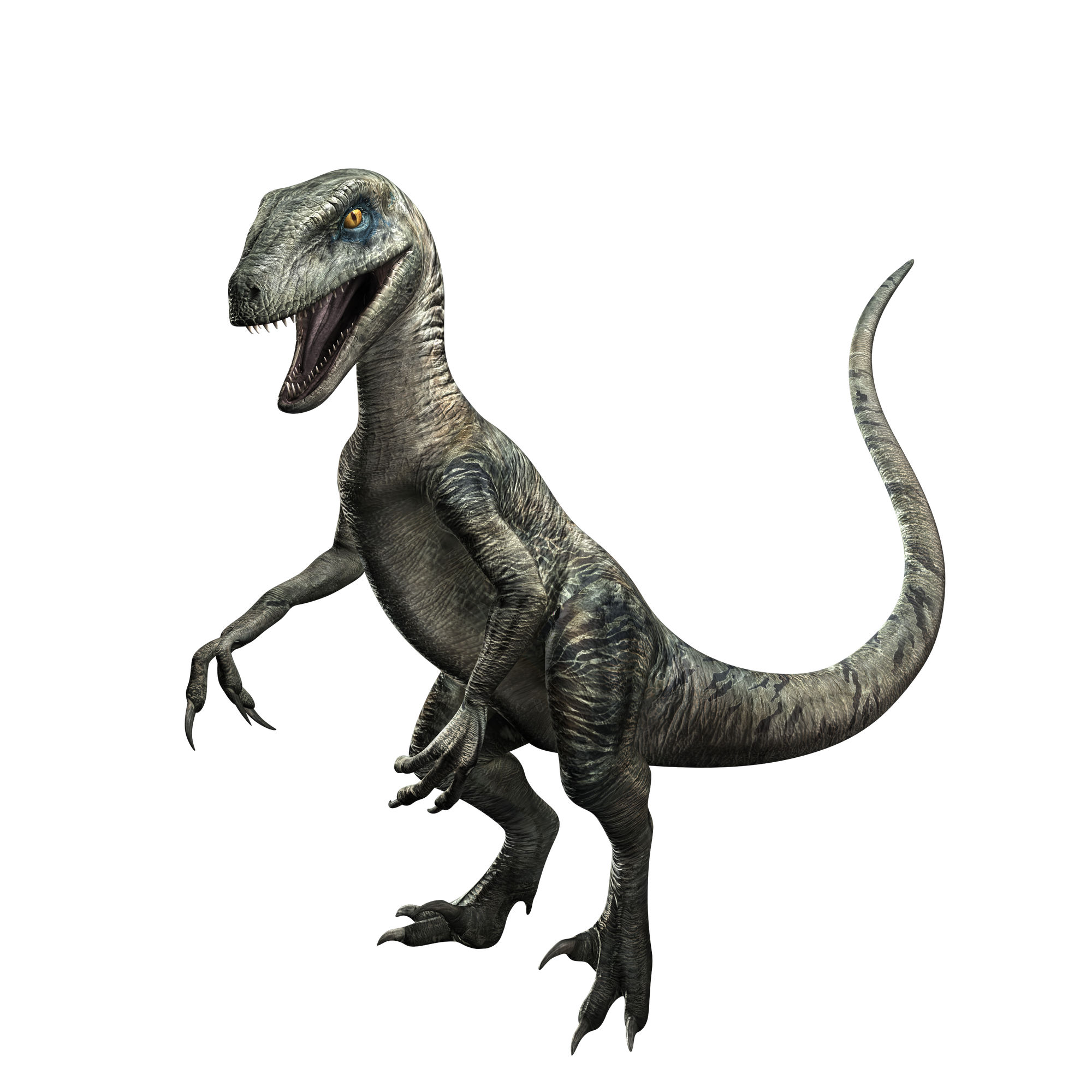 Image Deltapng Jurassic World Alive Wiki Fandom Powered By Wikia 
