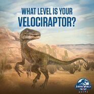 velociraptor jw alive