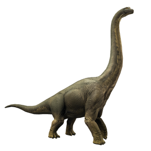 Brachiosaurus | Jurassic World Alive Wiki | Fandom