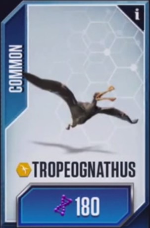 Tro