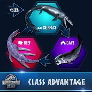 Aquatic Class
