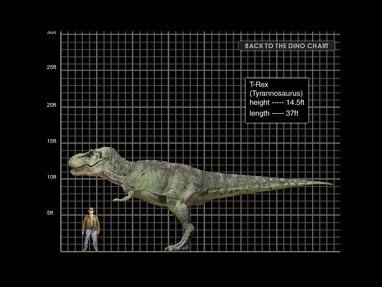 T-rex CD