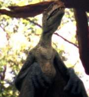 Anurognathus