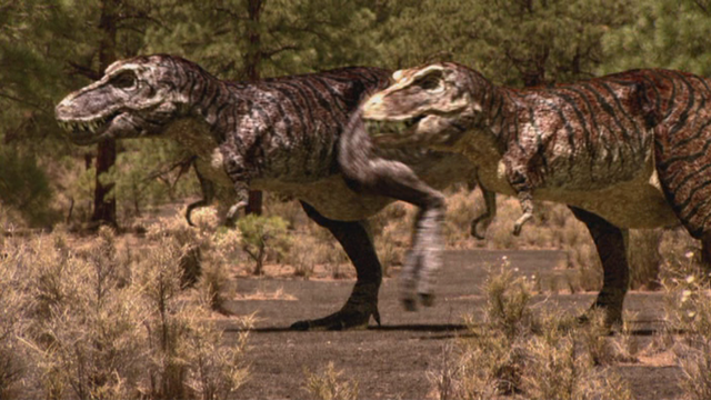 File:1x1TRexPair.png