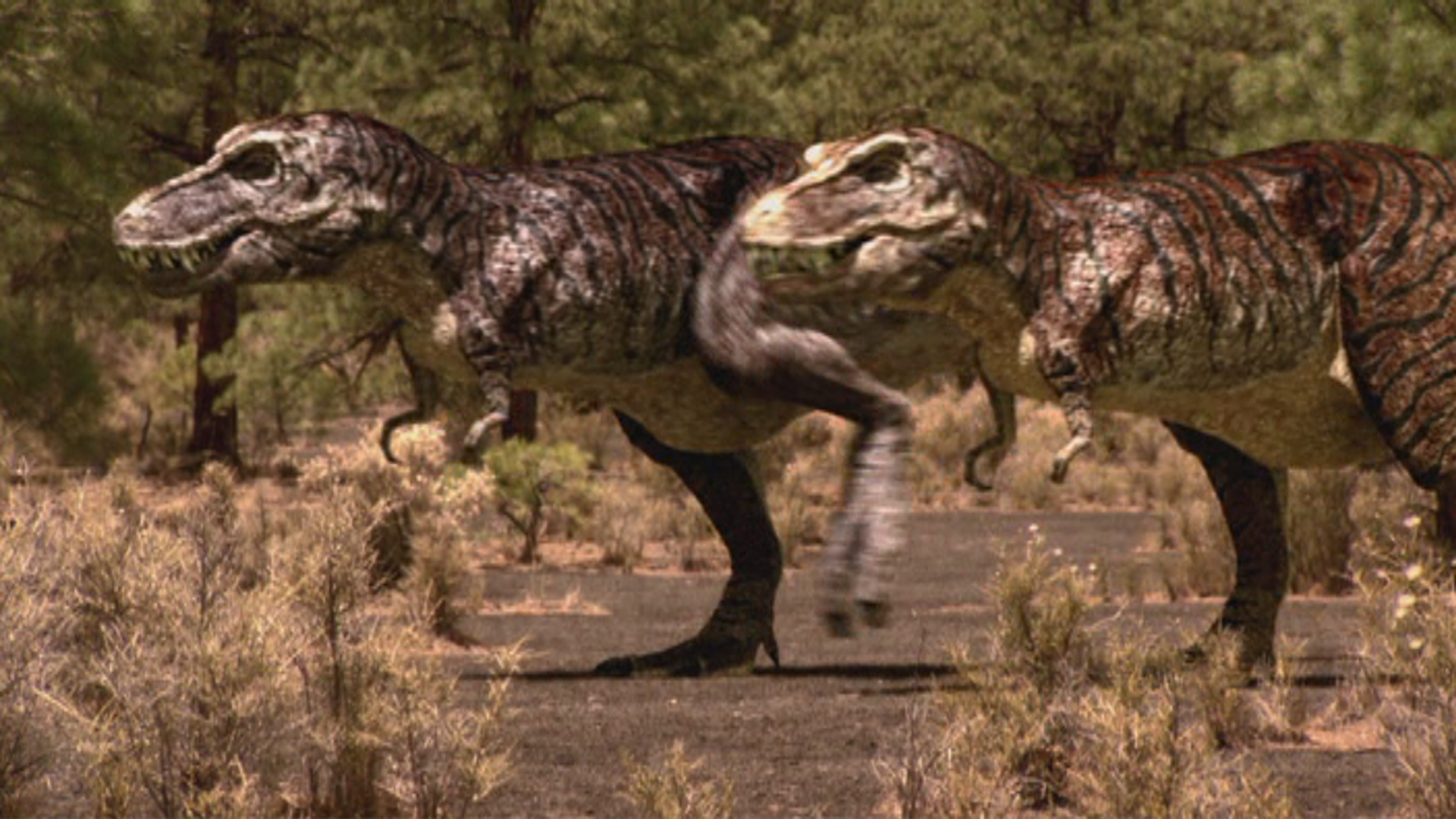 Image - 1x1TRexPair.png | Jurassic Fight Club | FANDOM powered by Wikia