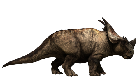 Stiracosaurus o el dinosaurio del museo? Latest?cb=20120426205540