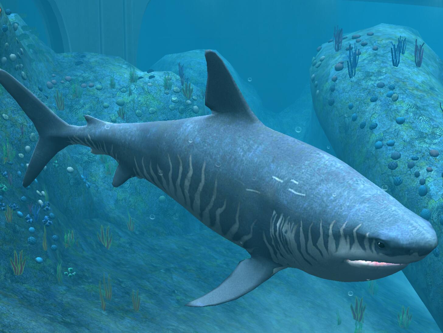 jurassic quest megalodon