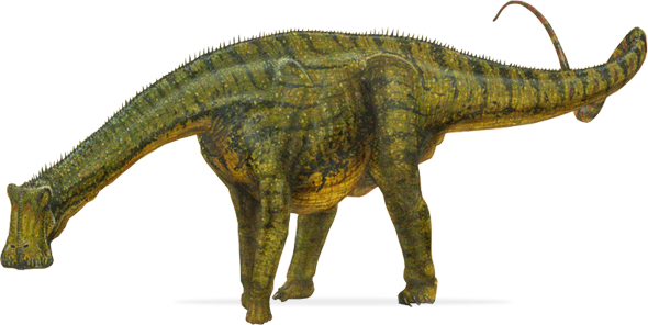 Как называется динозавр с 1000 зубами. Нигерзавр(Nigersaurus). Динозавр с 500 зубами.