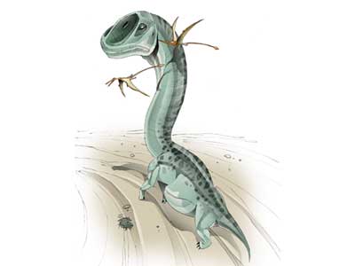 ultrasaurus fossil