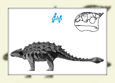 Ankylosaurus2 (2)