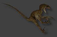 velociraptor female
