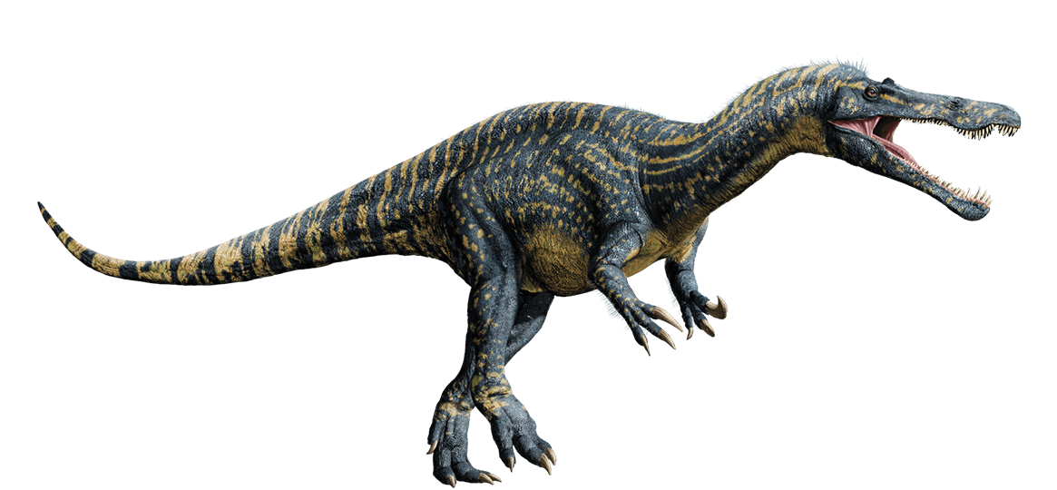 Suchomimus Wikia Jurassic Park Fandom 