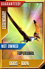 Tupuxuara Temporary Card