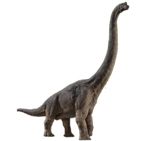 ブラキオサウルス ジュラシック パーク Wiki Fandom