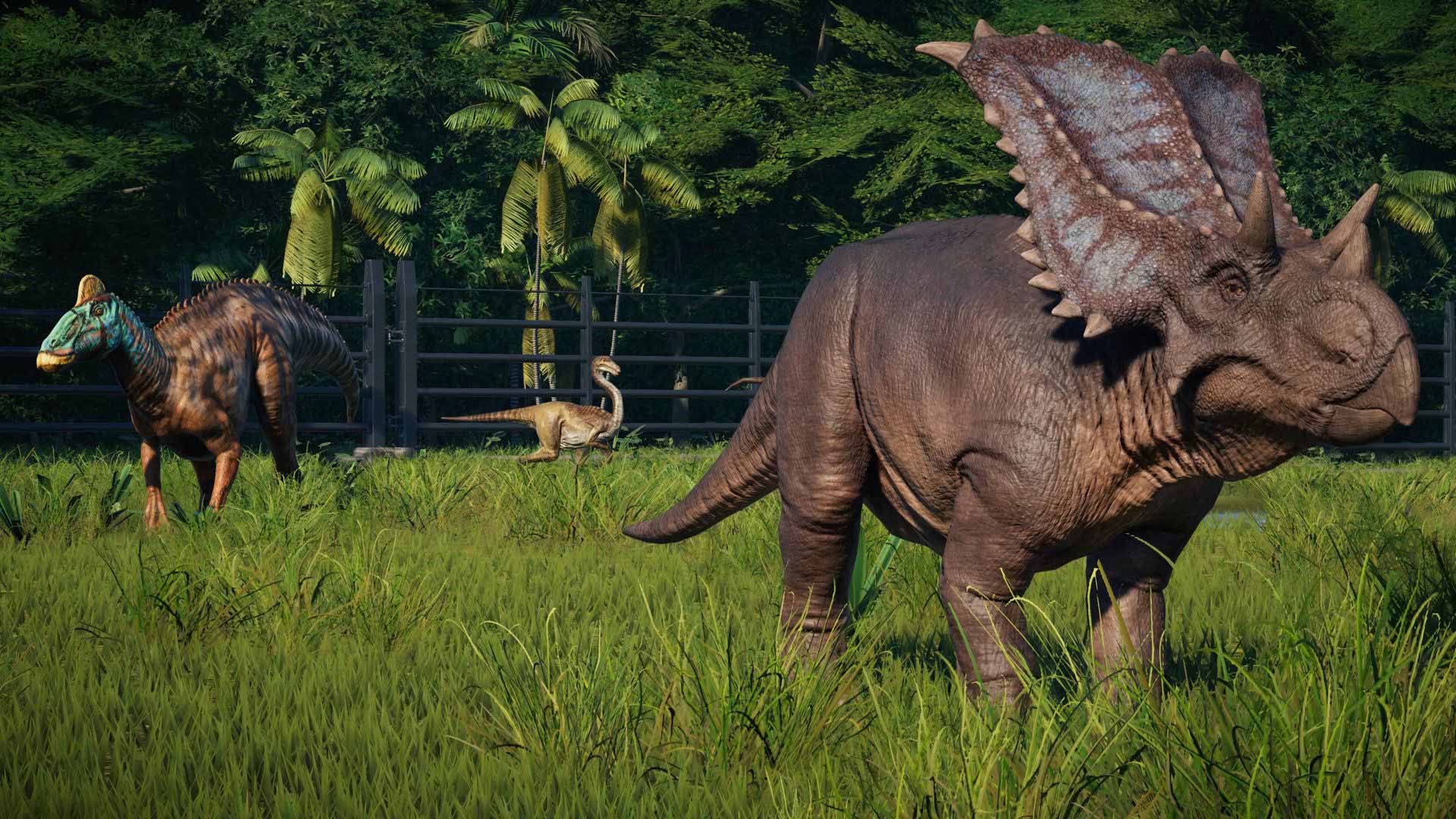 triceratops jwe