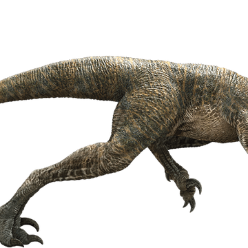 Velociraptor Movie Canon Jurassic Park Wiki Fandom