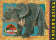 24240.jpg (58 KB) 24240