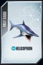 Helicoprion