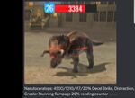 Jurassic World- Alive Battle at Big Rock Nasutoceratops model