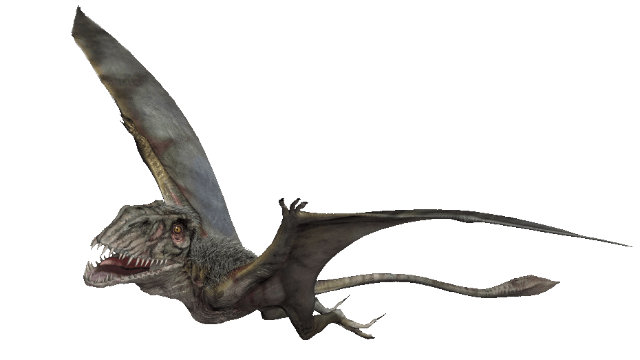 Dimorphodon Jurassic Park Wiki Fandom Powered By Wikia 