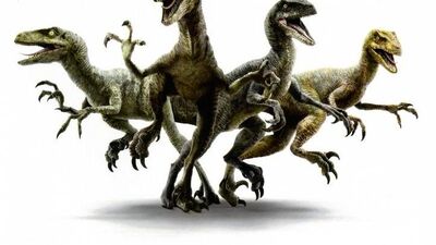 Jurassic World Velociraptor Pack Jurassic Park Wiki Fandom