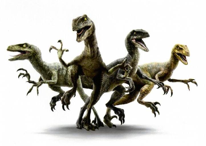 Jurassic World Velociraptor Pack Jurassic Park Wiki Fandom Powered 