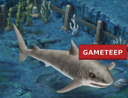 Megalodon | Jurassic Park wiki | FANDOM powered by Wikia