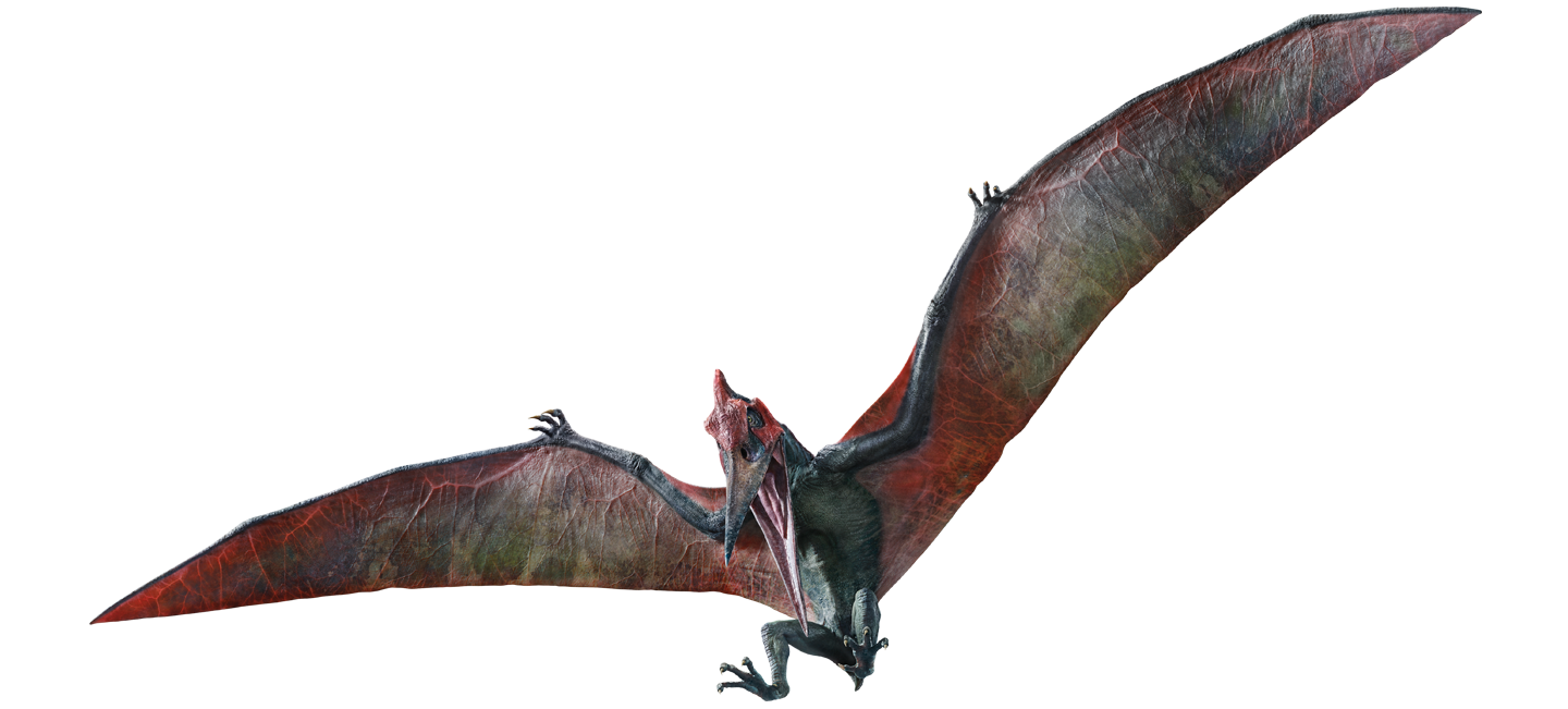 the pteranodon