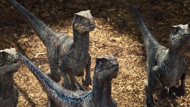 Imagen - Blue,Charlie,Echo y Delta.jpg | Jurassic Park Wiki | FANDOM
