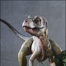 Junior Jurassic Park Wiki Fandom