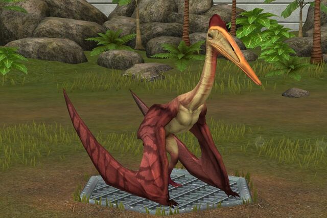 File:Hatzegopteryx (17).jpg