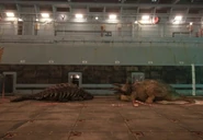 Anky and trike.jpg (45 KB) Anky and trike