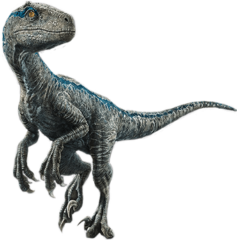 Velociraptor | Jurassic Park Wiki | Fandom