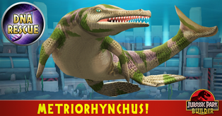 Metriorhynchus 33343081 1723834104372167 5355568843651547136 n
