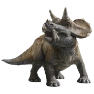 Baby Trike.png (344 KB) Baby Trike