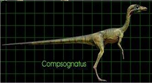 Image - Compsognathus jp3.png | Jurassic Park wiki | FANDOM powered by Wikia