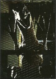 Scan Pic0003