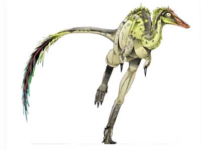 Shuvuuia Jurassic Park Wiki FANDOM powered by Wikia