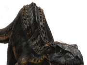 カテゴリ 恐竜 ジュラシック パーク Wiki Fandom