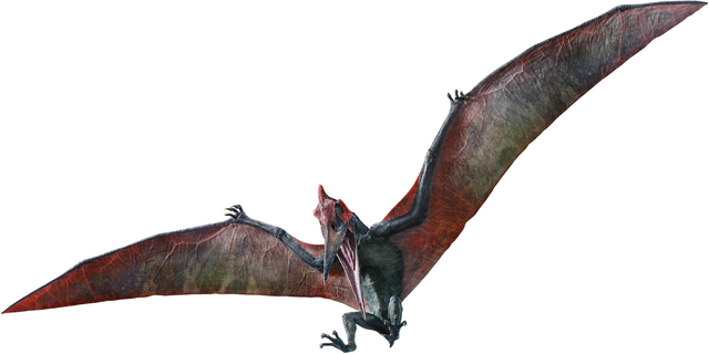pteranodon pterodáctilo