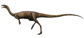 Elaphrosaurus