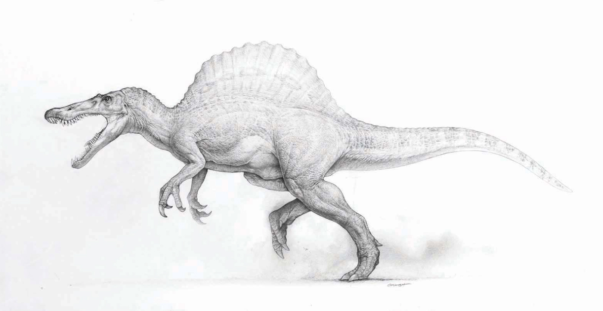 scott de spinosaurus